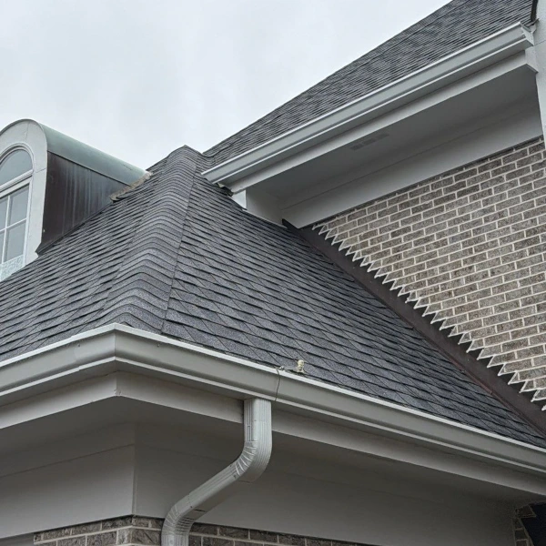 gutter replacement Naperville IL